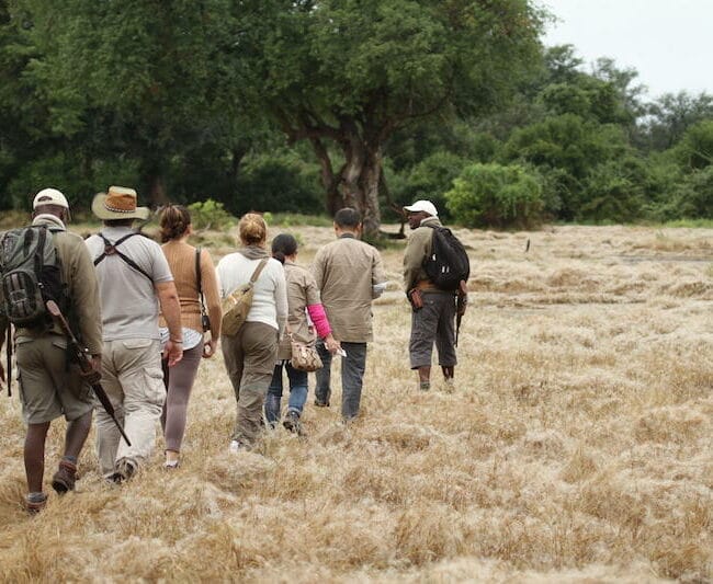 Zimbabwe_kangacamp_walkingsafari_800x534
