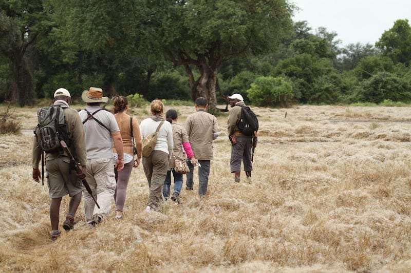 Zimbabwe_kangacamp_walkingsafari_800x534