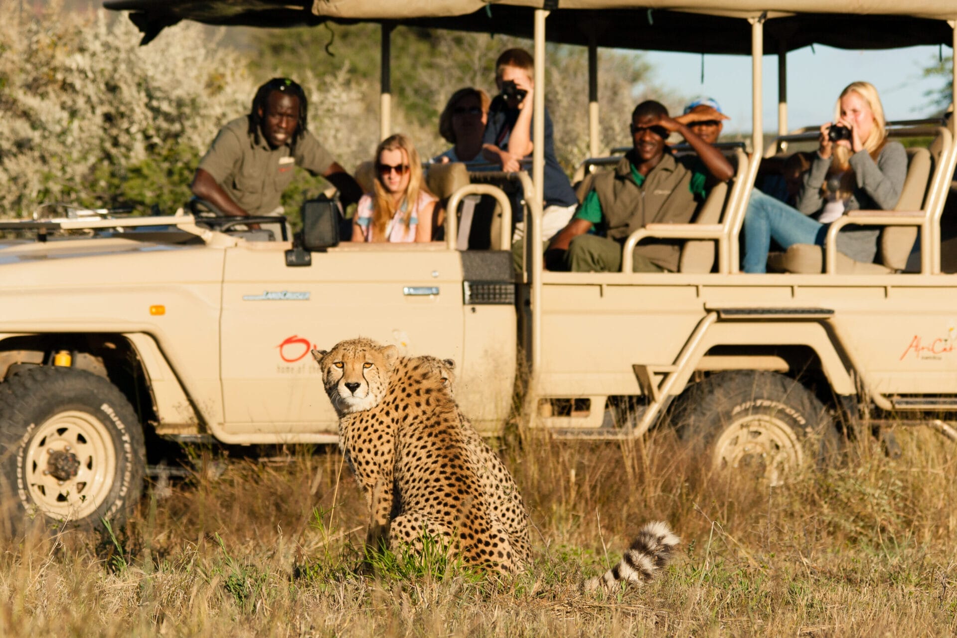 africats_care_centre1