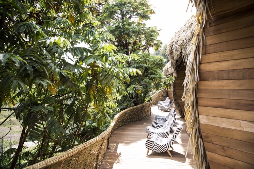 Bisate Lodge, Wilderness Safari, Rwanda