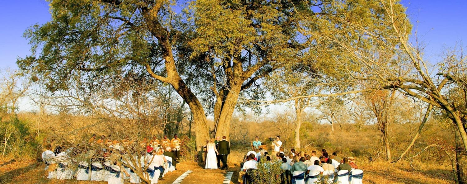 bush-wedding