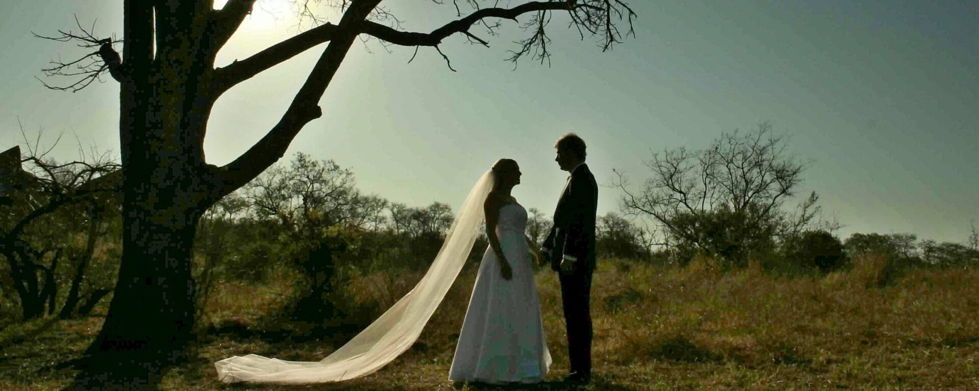 bushweddingsilhouettej.vanwijk