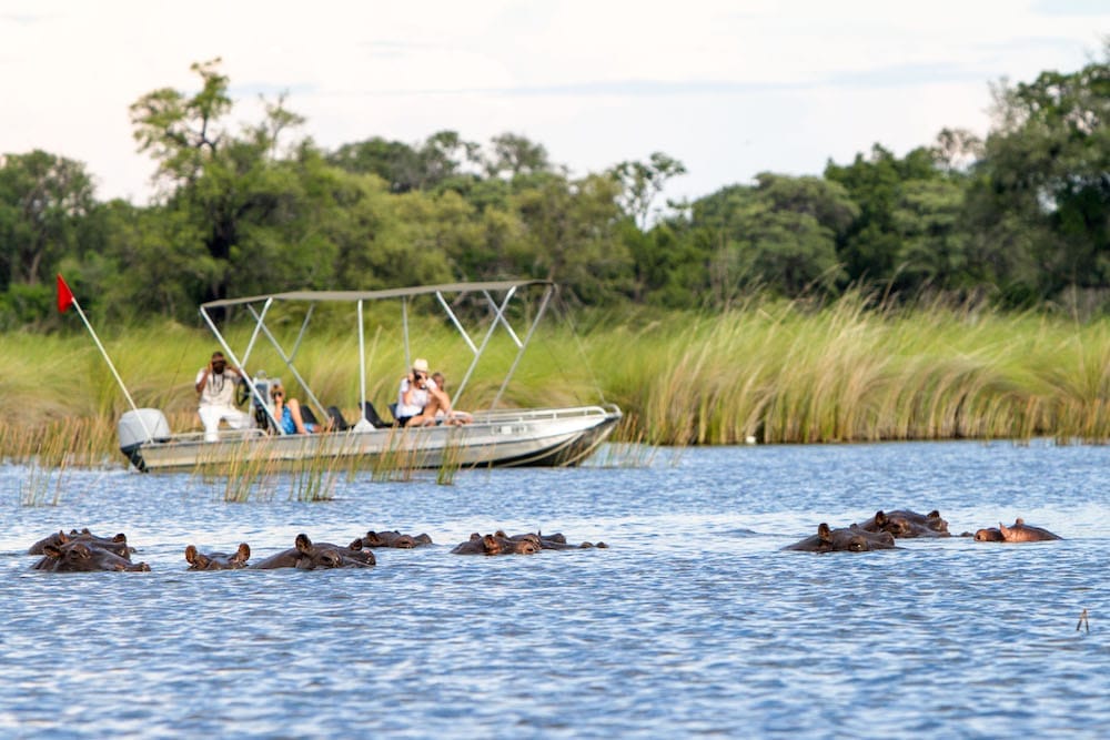 camp-moremi-boat-safari2