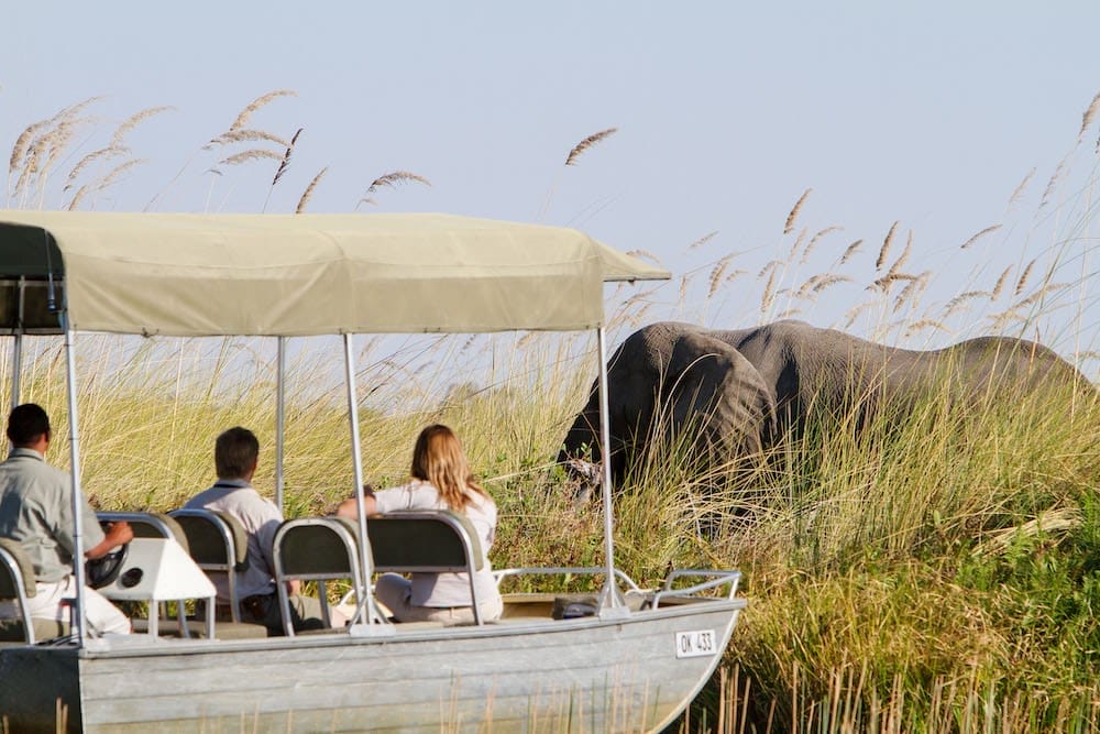 camp-xakanaxa-boat-safari1