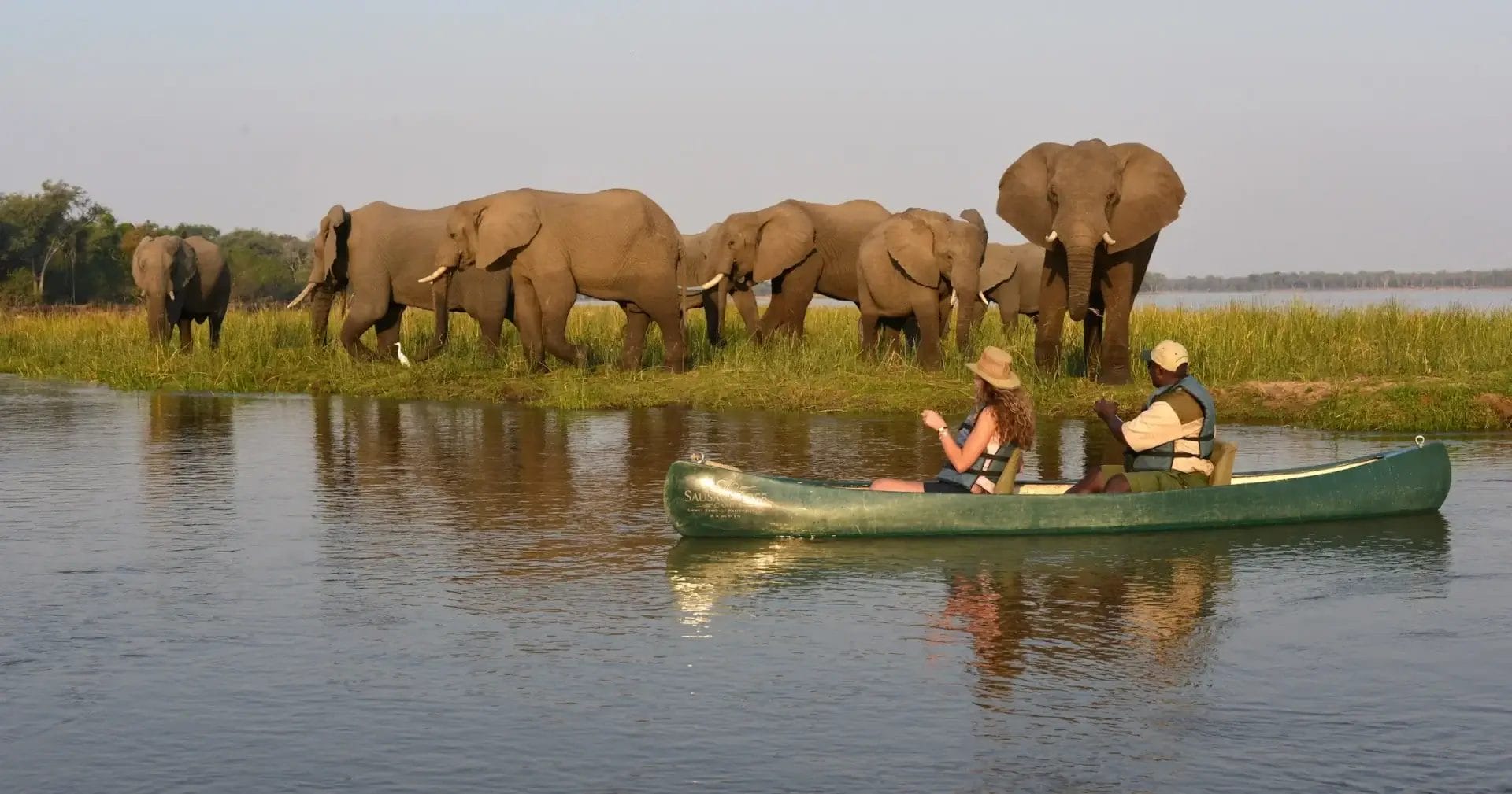Canoe with elephants at Sausage Tree Camp Zambia.