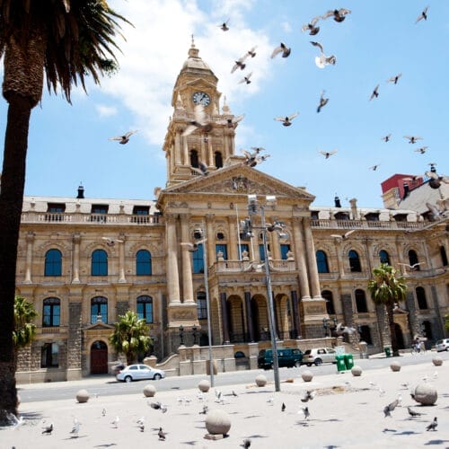 pigeons flying over city hall of cape town, south africa