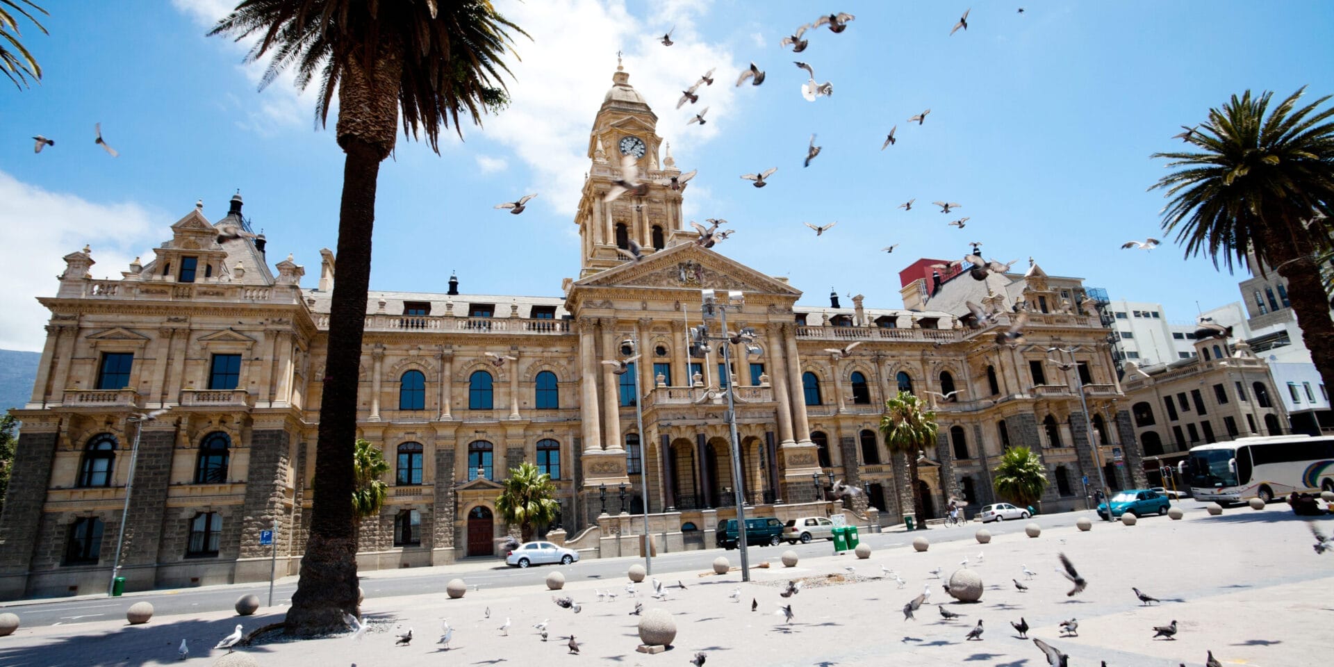 pigeons flying over city hall of cape town, south africa