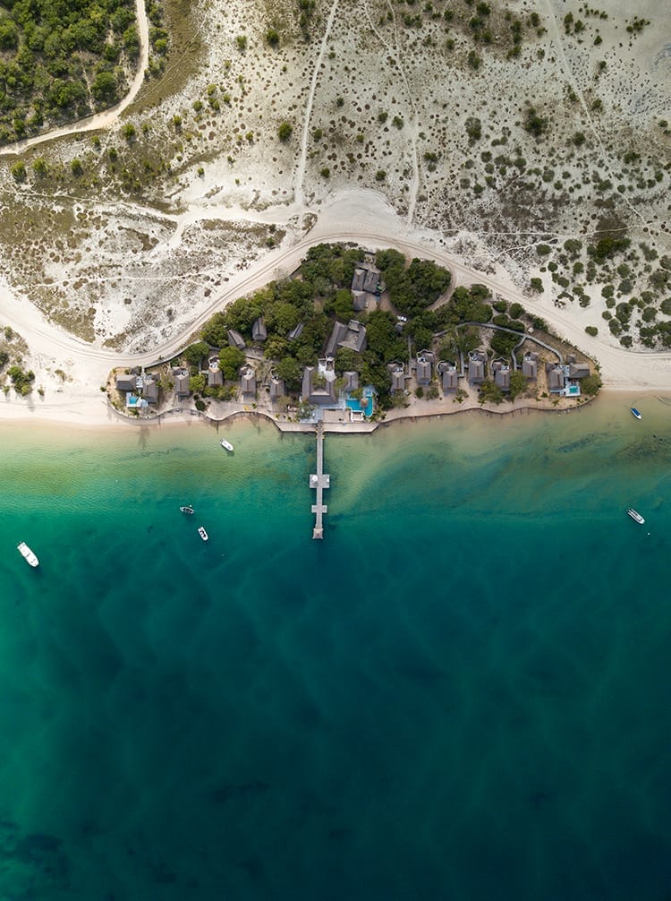 dungong feature | Gamewatchers Safaris