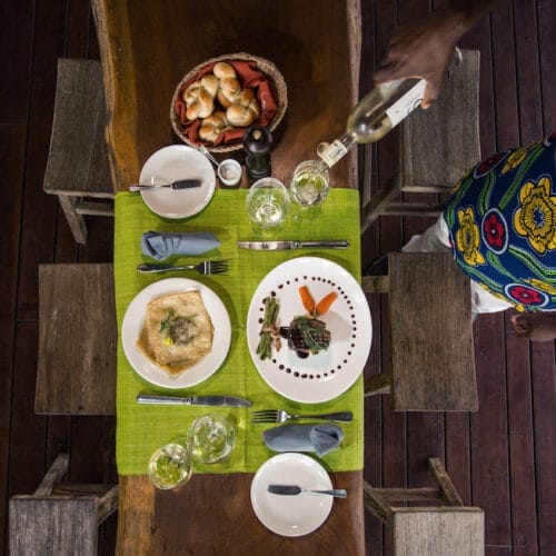 e2016-ODZALA-ALH-251 | Gamewatchers Safaris