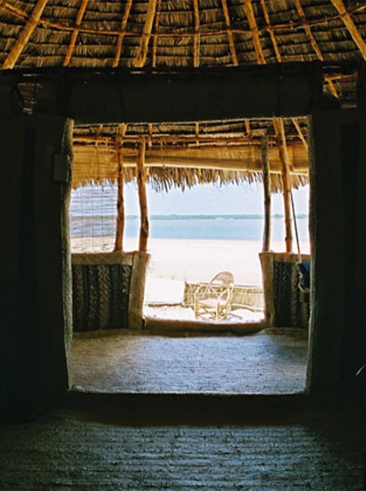 featured image - kizingo | Gamewatchers Safaris