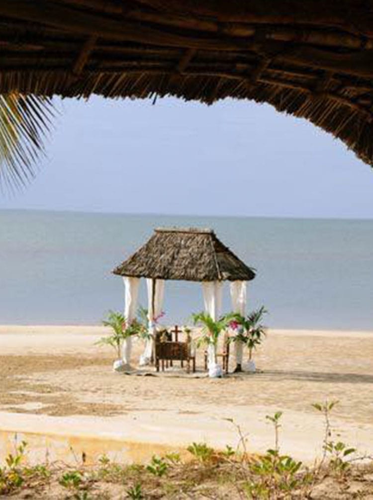 featured image - manda