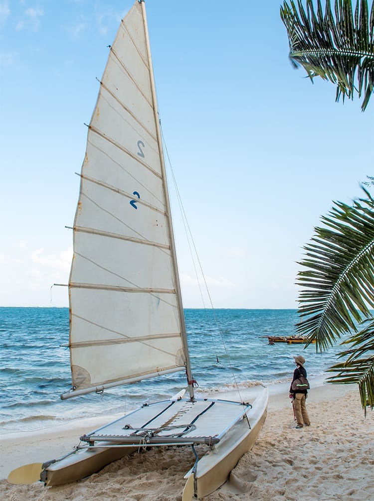 featured image - serena