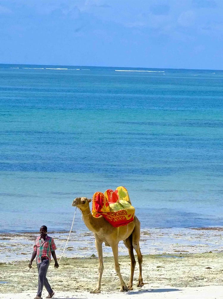 featured image - voyager