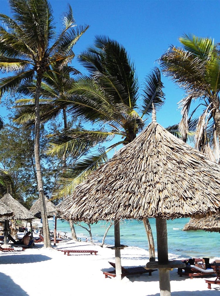 featured - turtle | Gamewatchers Safaris