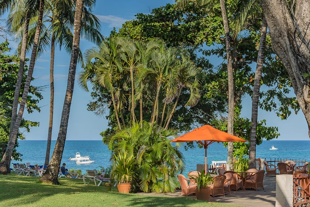 gallery-Recovered-dej