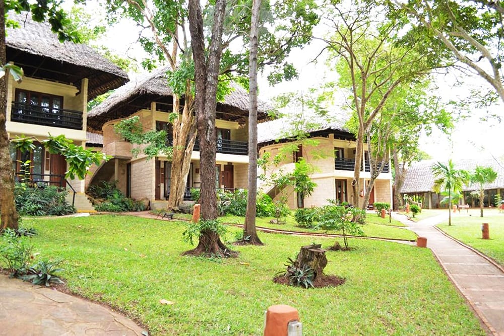 gallery-Recovered-djerse