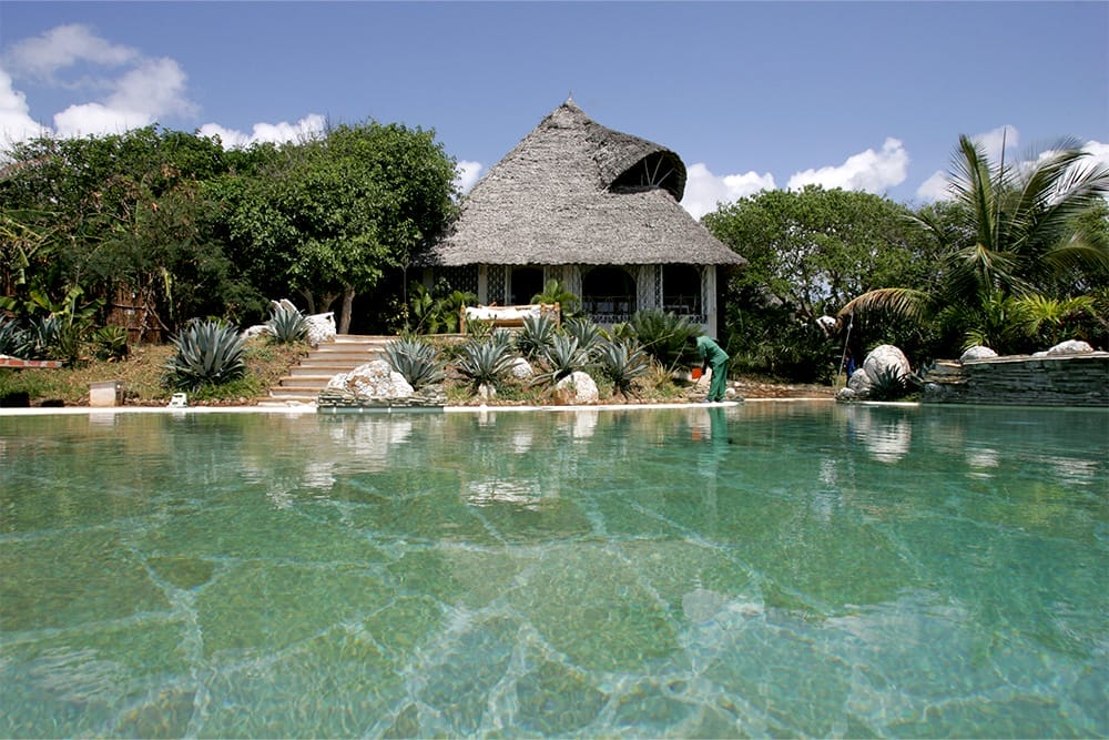 gallery - msabweni2