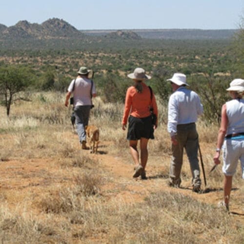 galleryhbcc | Gamewatchers Safaris