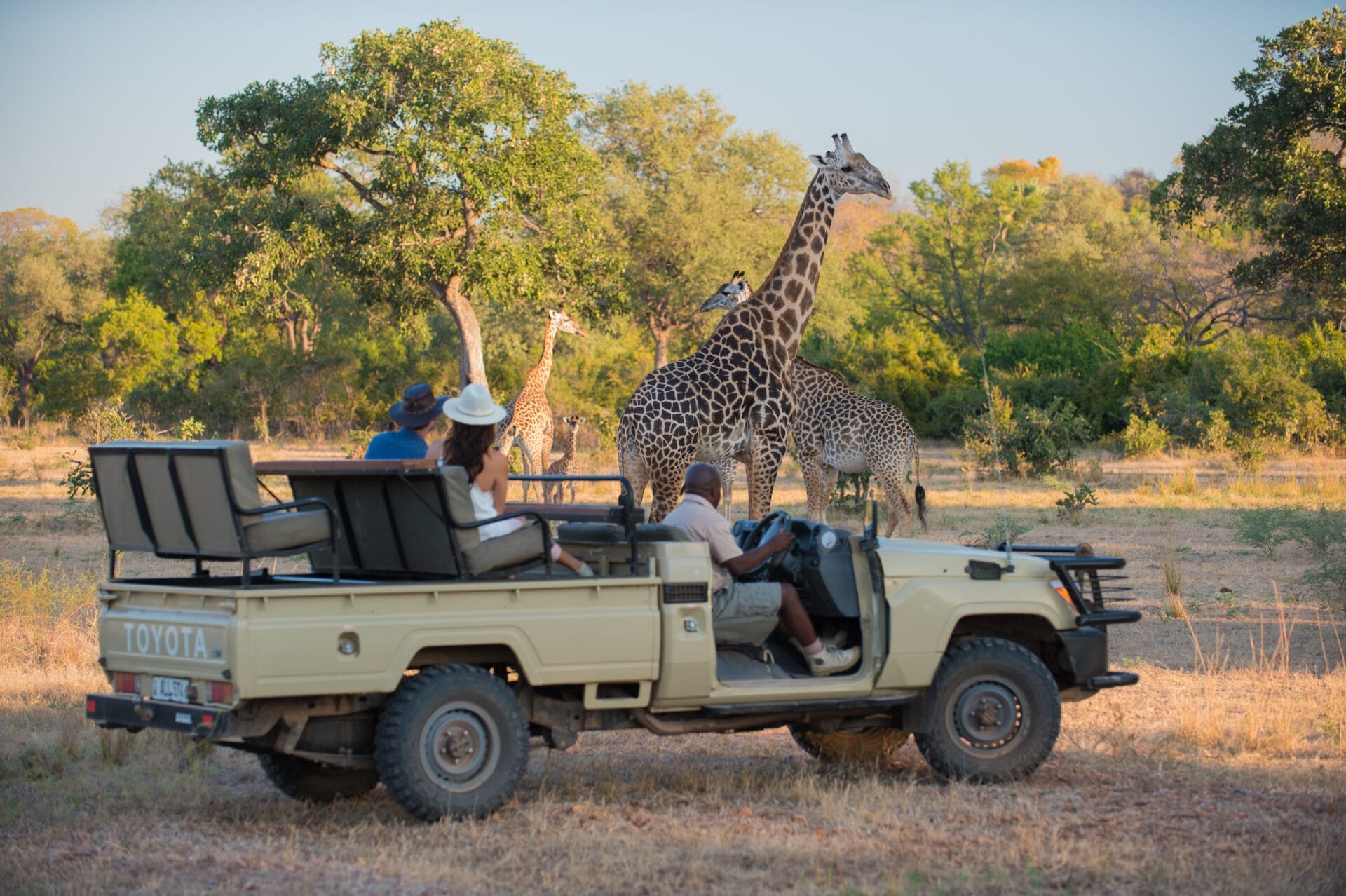 gbp-rps-luangwa-2017-1277