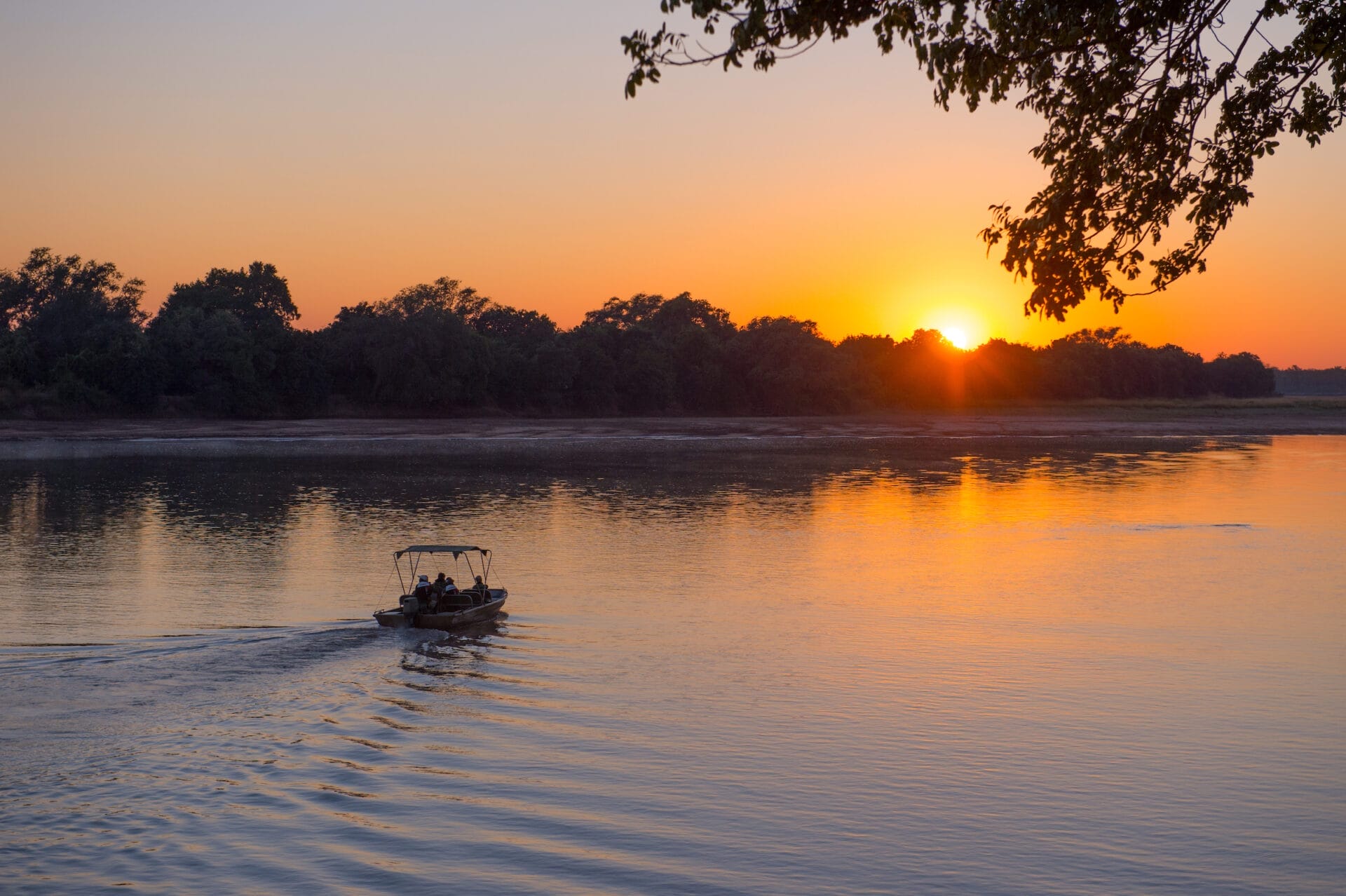 gbp-rps-luangwa-2017-1311