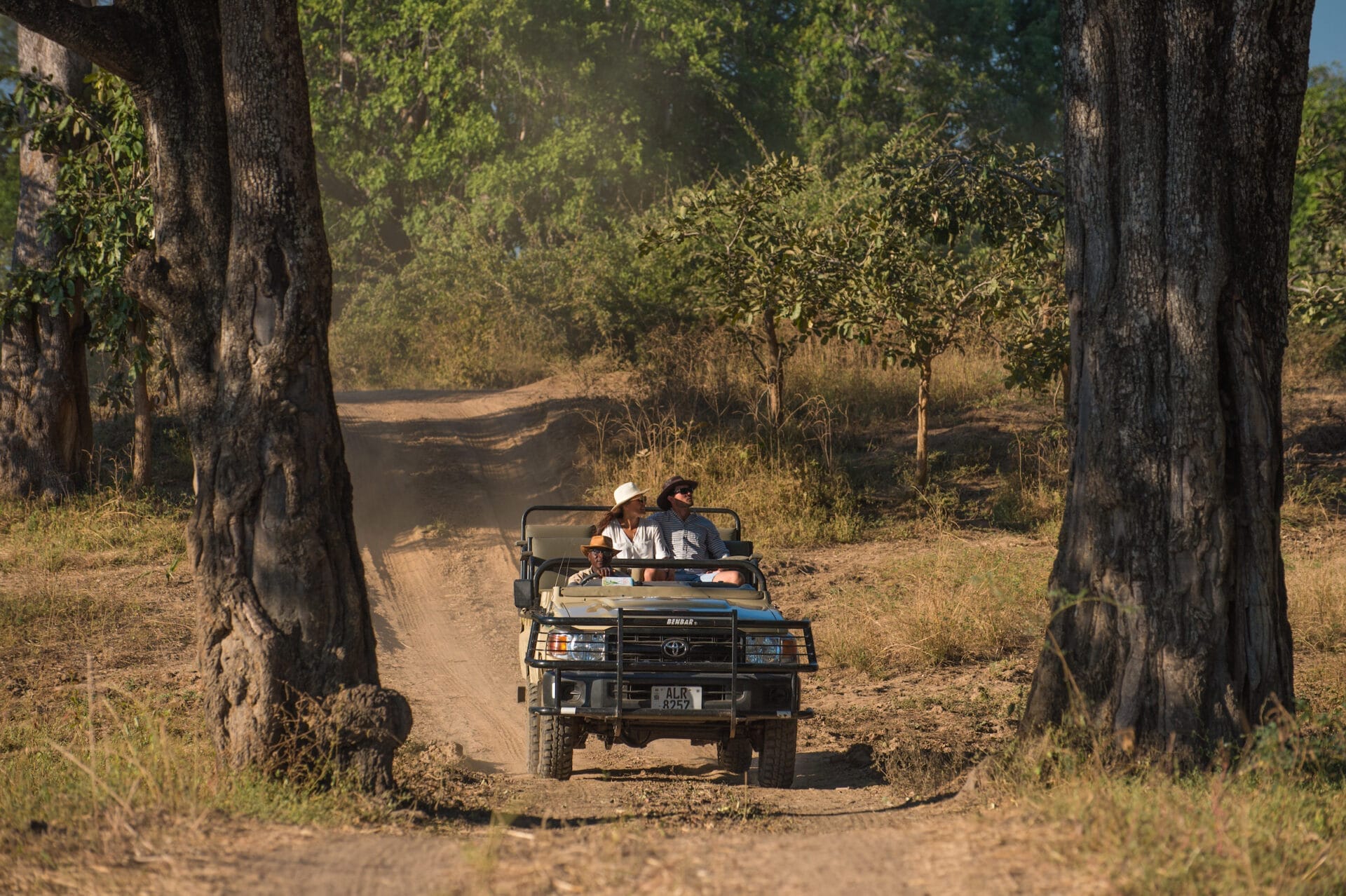 gbp-rps-luangwa-2017-1381 (1) gbp-rps-luangwa-2017-1381 (1)