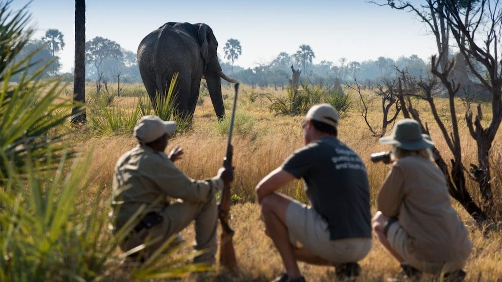getting-close-to-an-elephant-on-a-botswana-mobile-camping-expedition-1024x576
