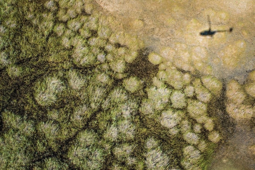 greatplains-botswana-selindareservewildlife-05