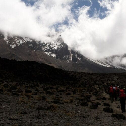 IMG_5915 | Gamewatchers Safaris