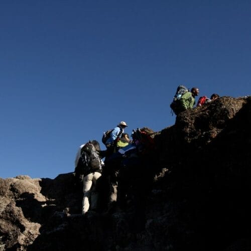 IMG_6038 | Gamewatchers Safaris