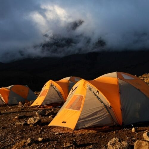 IMG_6169 | Gamewatchers Safaris