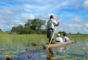 Mokoro in Okavango Delta
