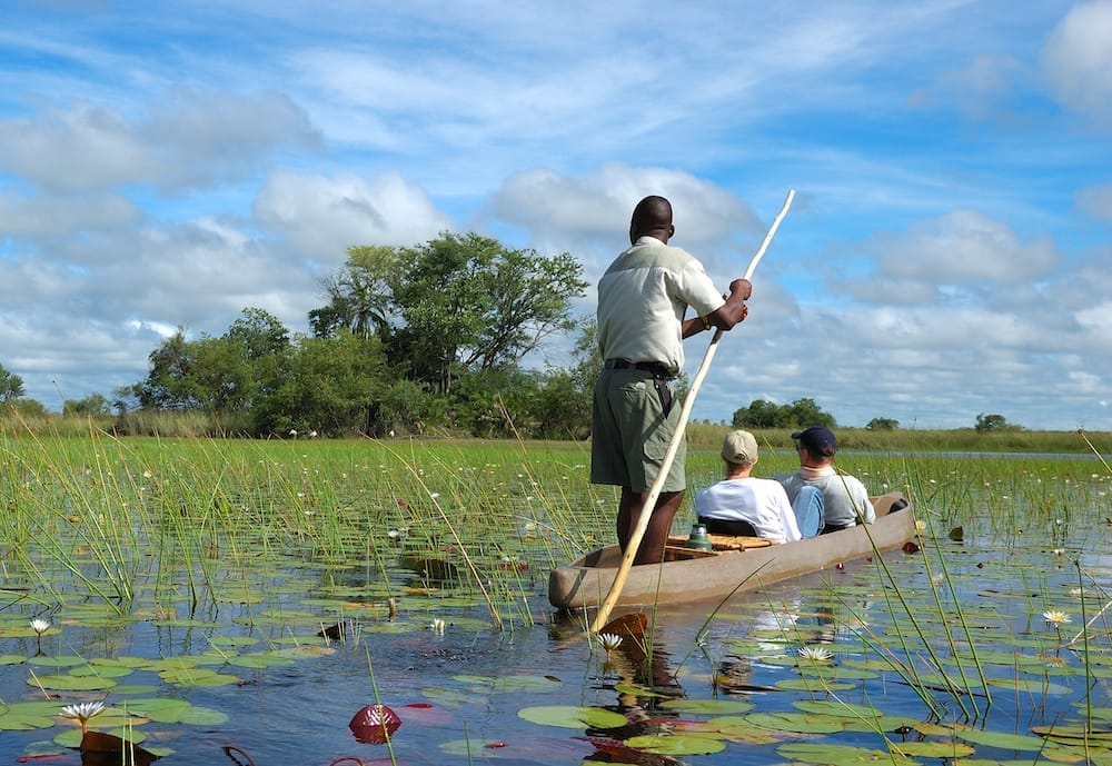 "photo was taken on a half day trip in Okavango Delta Botswana, the Delta is the biggest sweatwater reservoir in this area and the water is absolutely clean, summer time is green season with low water, the mokoro are fiberglass replicas of dug out canoes, is easier to build than a genuine dugout, silence there is amazing"