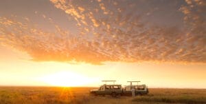 sunset observation in safari vehicle
