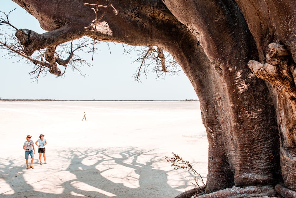 nxai_pan_camp_-_baines_baobabs_-_1