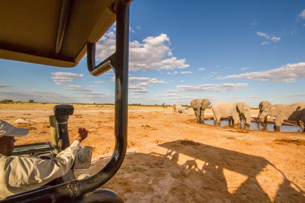 nxai_pan_camp_-_game_drive_-_13