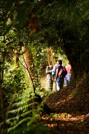 nyungwe-forest-lodge-1337928753