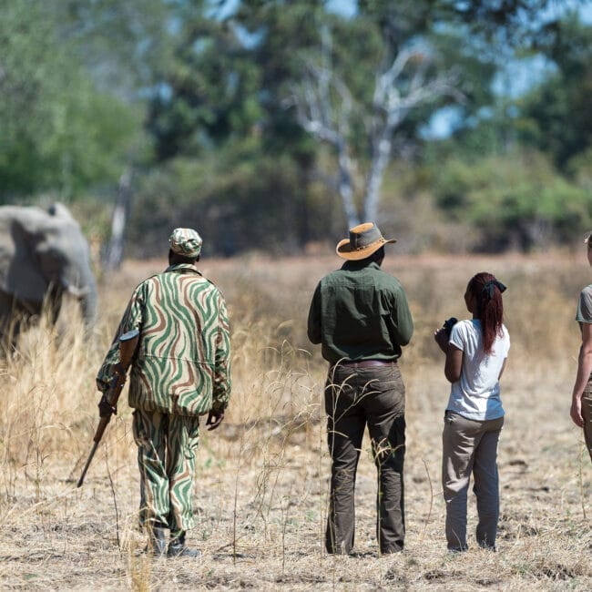 s_luangwa_2014-07-107e
