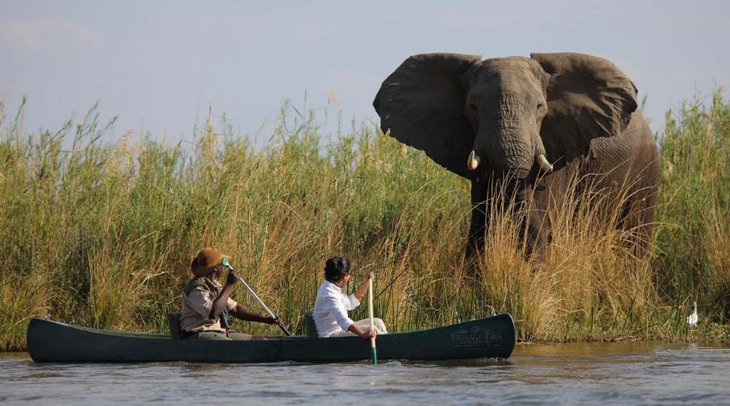 sausage-tree-camp-gallery-image-2-1423783869