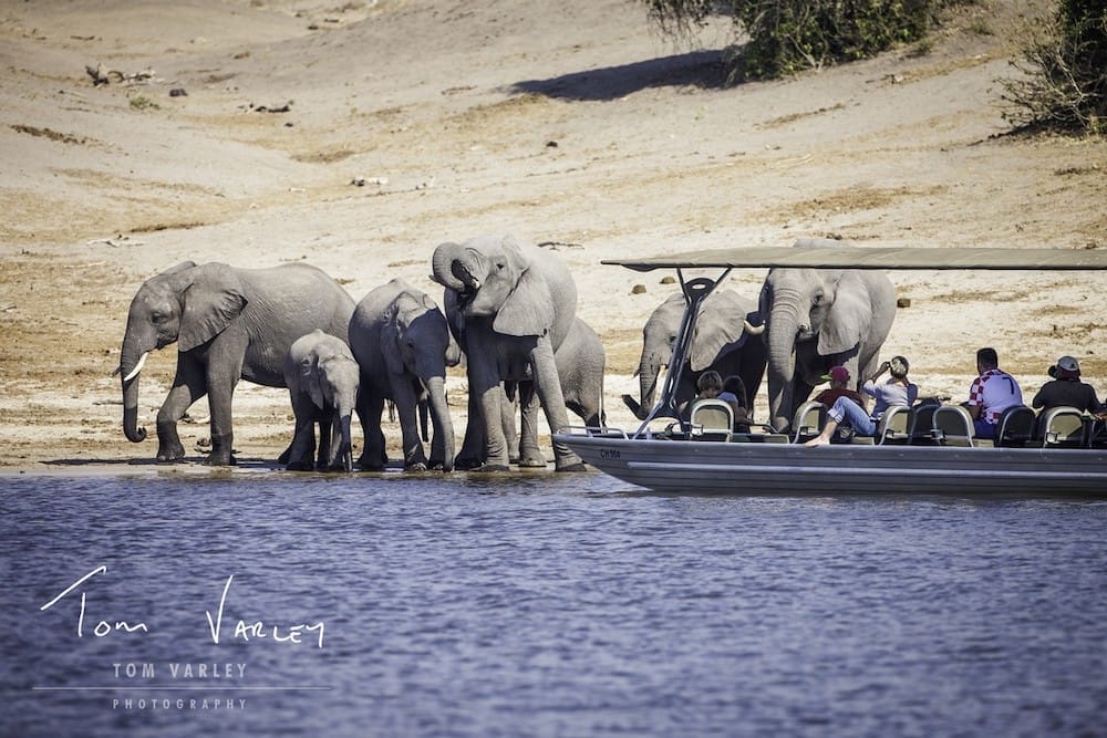 tab_-_activites_-_boat_cruise_21