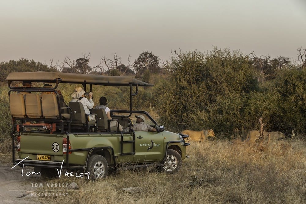 tab_-_activites_-_game_drives_2