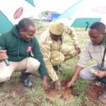 Planting new trees in Kenya