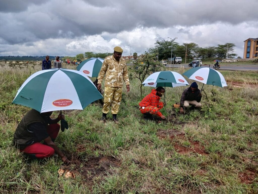 Planting Trees in Kenya