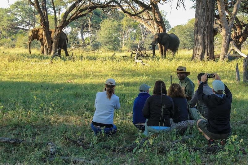 Camelthorn Lodge Walking Safari