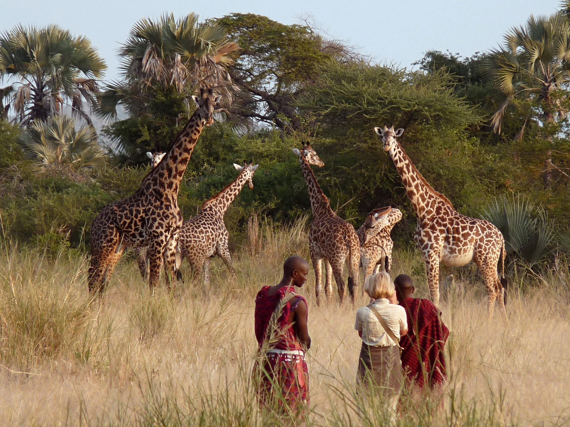 A Walking Safari