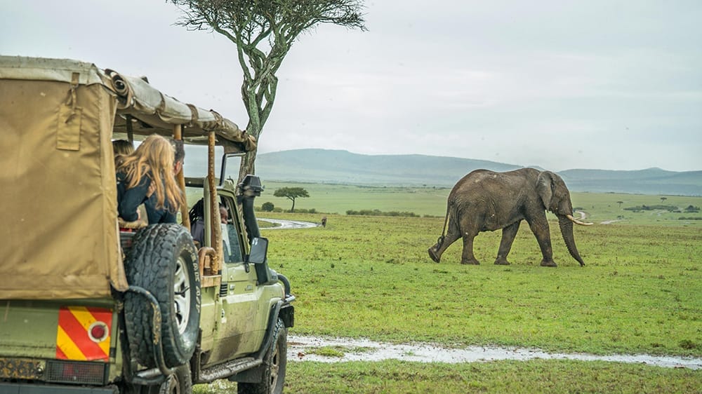 Game-Drive