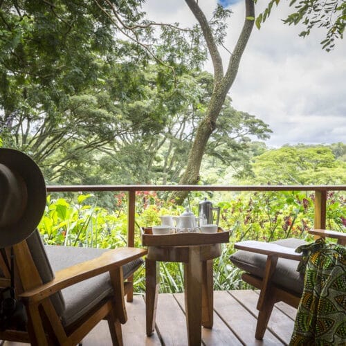 Gibbs Farm - gal 2 | Gamewatchers Safaris