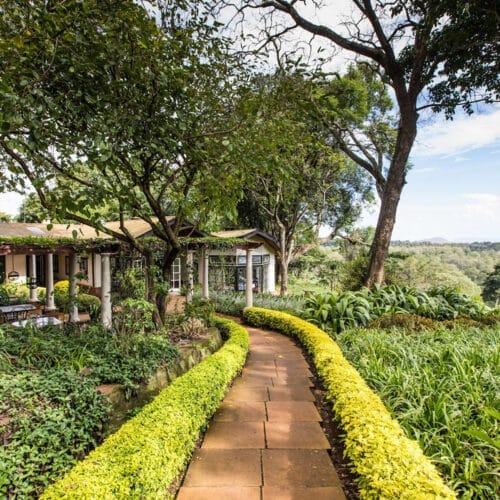 Gibbs Farm - gal 3 | Gamewatchers Safaris