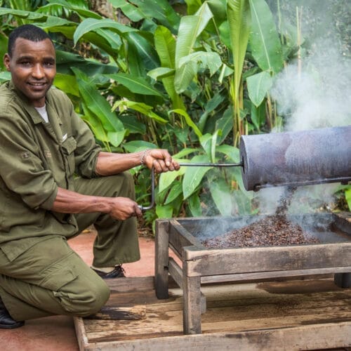 Gibbs Farm - gal 6 | Gamewatchers Safaris