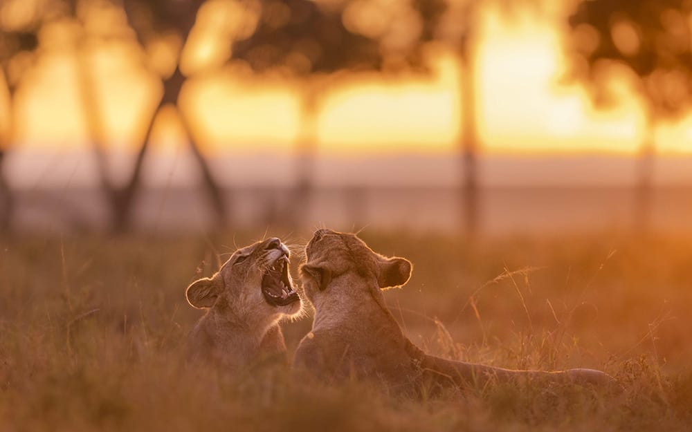 Governors-Private-Camp_5