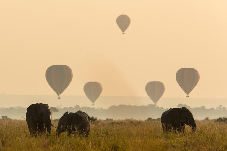 Hot air ballooning over the Masai Mara